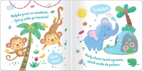 W zoo Posłuchaj zwierząt Książeczka z dźwiękami Aksjomat