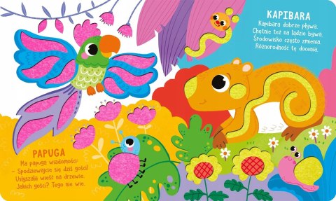 Zwierzęta w dżungli Książeczka z miękkim filcem Aksjomat