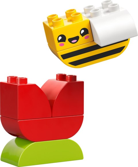 Lego Duplo Mój pierwszy kwiatek i pszczoła