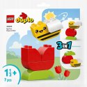 Lego Duplo Mój pierwszy kwiatek i pszczoła