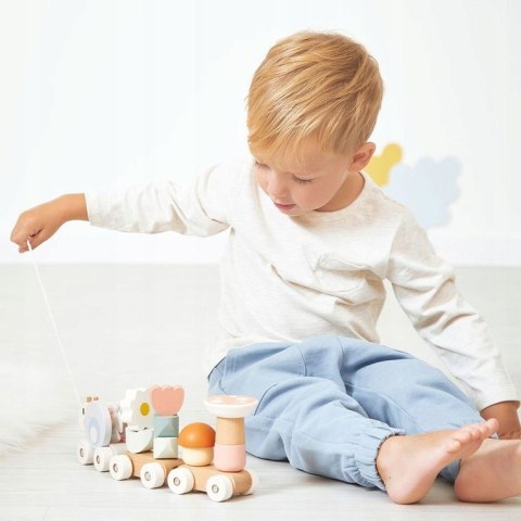 Magnetyczny pociąg z klockami i grzechotką do ciągnięcia Ślimak 12m+ Janod