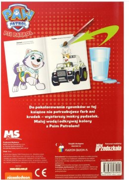 Psi Patrol Wodą malowane Wesołe kolory