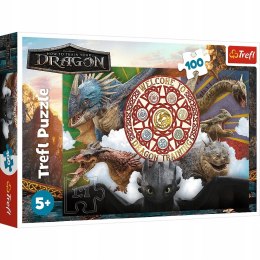 Puzzle 100 elementów Smoki w akcji Jak wytresować smoka 16524 Trefl