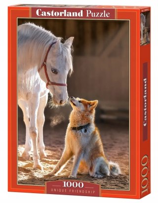 Puzzle 1000 elementów Wyjątkowa przyjaźń Castorland