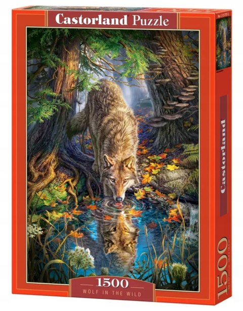 Puzzle 1500 elementów Wilk na wolności Castorland