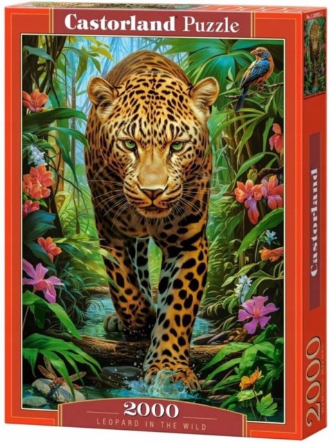 Puzzle 2000 elementów Leopard na wolności Castorland