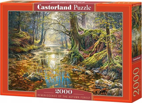 Puzzle 2000 elementów Wspomnienie z jesiennego lasu Castorland