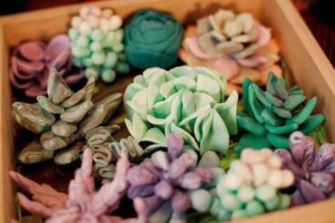 Zestaw kreatywny Okto Wood&Craft Sukulenty Zestaw do wyklejania obrazu 3D