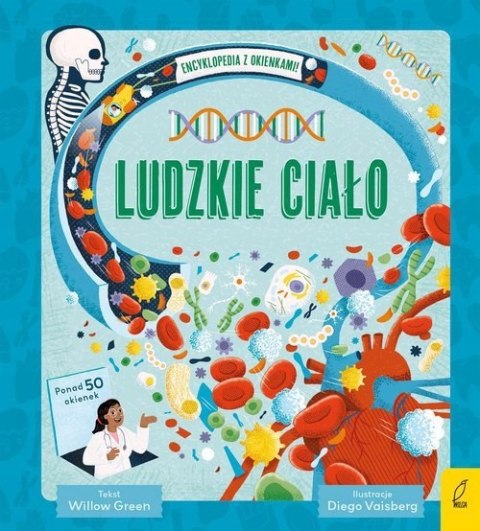 Encyklopedia z okienkami Ludzkie ciało Wilga
