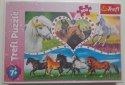OUTLET Puzzle 13248 Piękne Konie 200 elementów Trefl