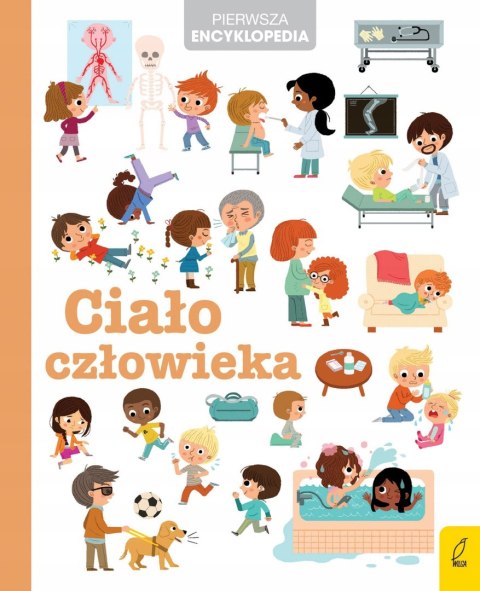 Ciało człowieka Pierwsza encyklopedia Wilga