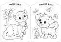 Kolorowanka dla dziewczynek Moje pupile Aksjomat