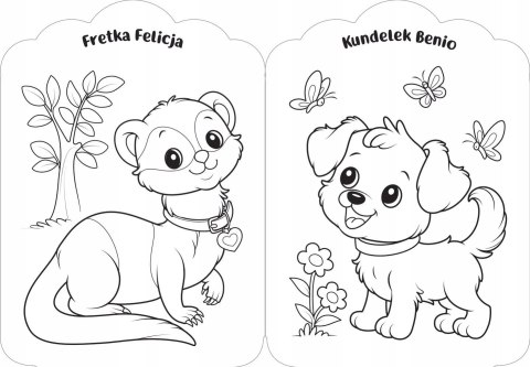 Kolorowanka dla dziewczynek Moje pupile Aksjomat