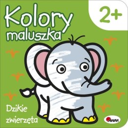 Kolory maluszka Dzikie zwierzęta Pierwsza Kolorowanka