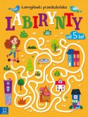 Labirynty Łamigłówki przedszkolaka od 5 lat Aksjomat