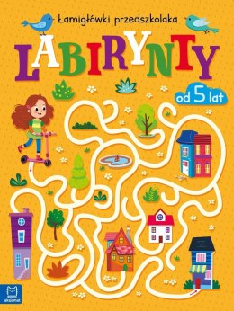 Labirynty Łamigłówki przedszkolaka od 5 lat Aksjomat