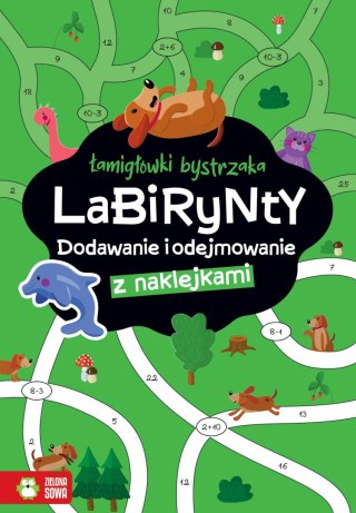Łamigłówki bystrzaka Labirynty Dodawanie i odejmowanie Zielona Sowa