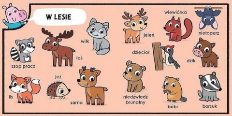 Maniek 100 Zwierząt Maniek Pyta Odkrywa Rozumie Zielona Sowa