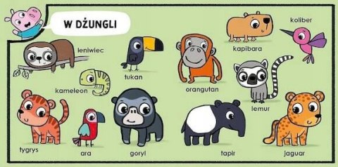 Maniek 100 Zwierząt Maniek Pyta Odkrywa Rozumie Zielona Sowa