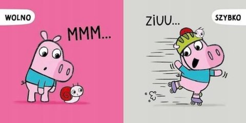 Maniek porównuje Zielona Sowa Maniek Pyta Odkrywa Rozumie