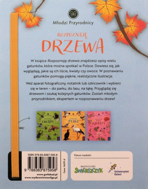 Rozpoznaję drzewa Młodzi przyrodnicy Wilga