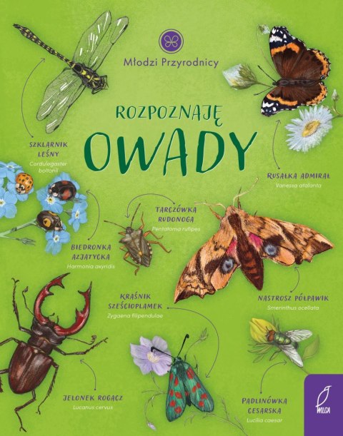 Rozpoznaję owady Młodzi przyrodnicy Patrycja Zarawska Wilga