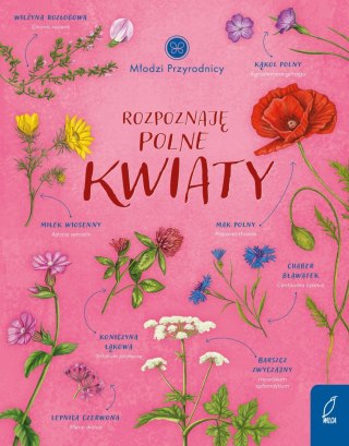 Rozpoznaję polne kwiaty Młodzi przyrodnicy Patrycja Zarawska Wilga