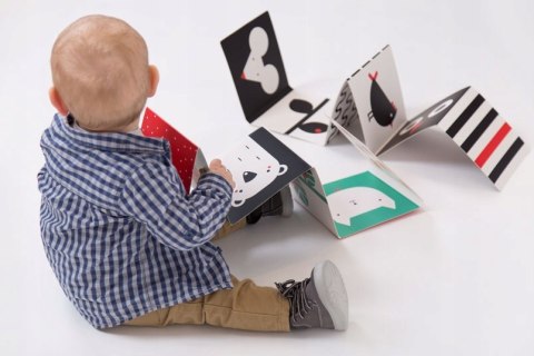 Starter malucha CzuCzu Co widzę? Czu Czu