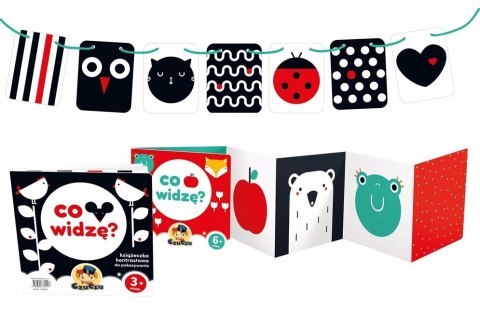 Starter malucha CzuCzu Co widzę? Czu Czu