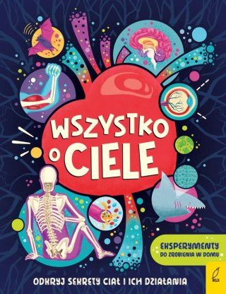 Wszystko o Ciele odkryj sekrety Ciał i ich działania Wilga Ciało Człowieka