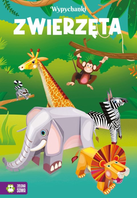 Wypychanki Zwierzęta Zielona Sowa