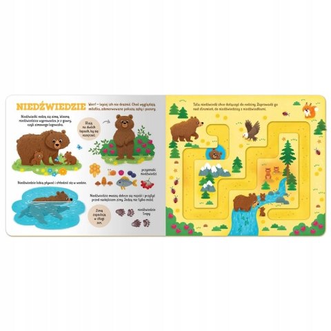 Zwierzątka w lesie Labirynty z ruchomymi elementami Aksjomat