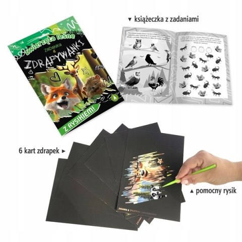 Zwierzęta leśne Zadanka i zdrapywanki Skrzat