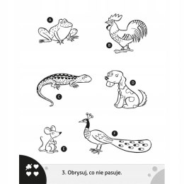 Główkuję z ołówkiem 6+ Książeczka pomarańczowa Aksjomat