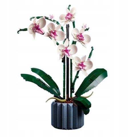 Lego Icons 10311 Orchidea