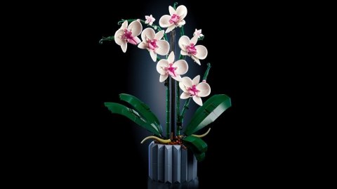 Lego Icons 10311 Orchidea