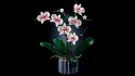 Lego Icons 10311 Orchidea