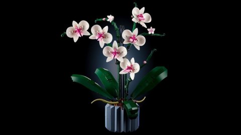 Lego Icons 10311 Orchidea