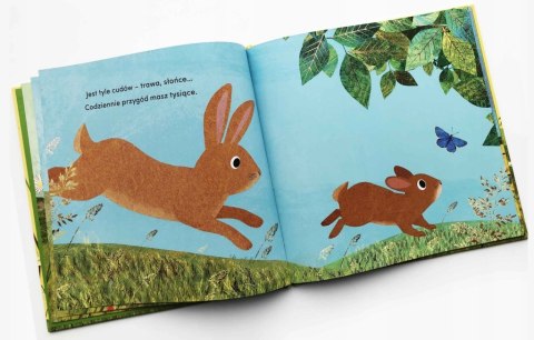 Od kiedy jestem twoją mamą Susannah Shane Harperkids