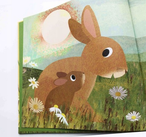 Od kiedy jestem twoją mamą Susannah Shane Harperkids