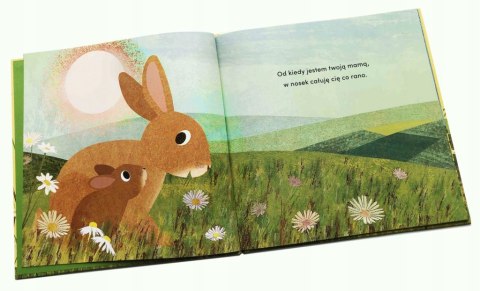 Od kiedy jestem twoją mamą Susannah Shane Harperkids