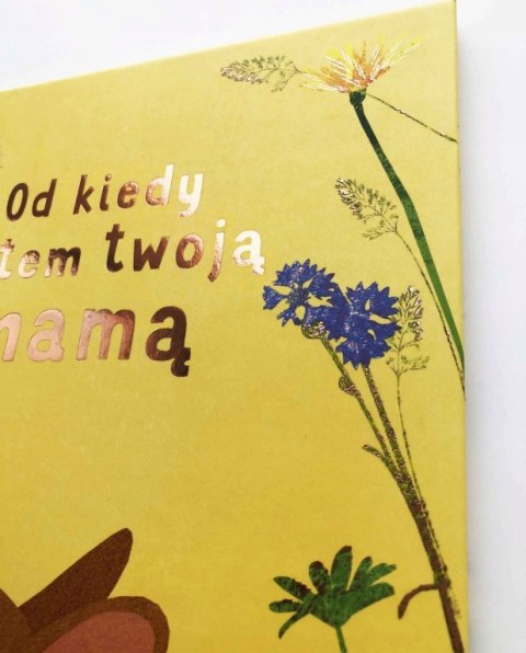 Od kiedy jestem twoją mamą Susannah Shane Harperkids