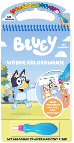 Bluey Wodne Kolorowanie Magiczna Wodna Kolorowanka Magiczny Pisak Malowanka