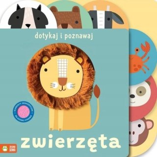 Dotykaj i poznawaj Zwierzęta Zielona Sowa Książka Sensoryczna