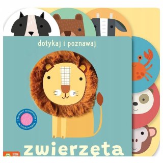 Dotykaj i poznawaj Zwierzęta Zielona Sowa Książka Sensoryczna