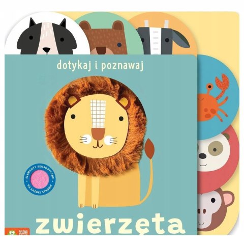 Dotykaj i poznawaj Zwierzęta Zielona Sowa Książka Sensoryczna