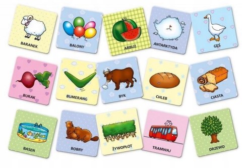 Gra planszowa Zagadki Smoka Obiboka: Zielone Granna