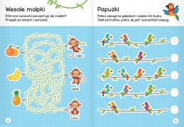 Łamigłówki przedszkolaka z tygryskiem od 5 lat Aksjomat