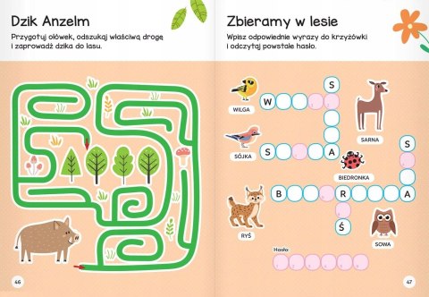 Łamigłówki przedszkolaka z wiewiórką od 5 lat Aksjomat