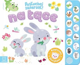 Na łące Posłuchaj zwierząt Książeczka z dźwiękami Aksjomat